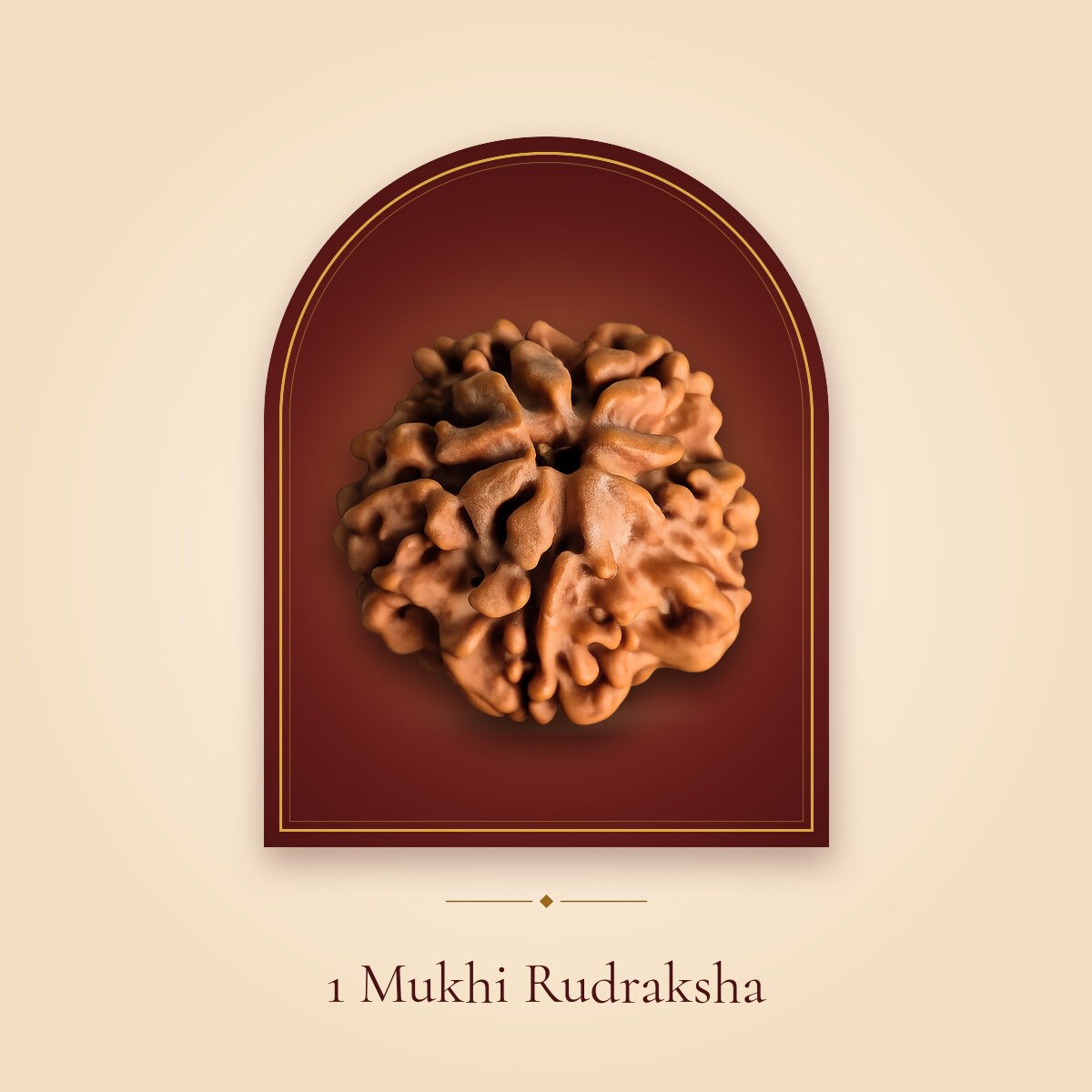1 Mukhi Rudraksha – shown in a temple arch