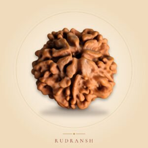 1 Mukhi Rudraksha