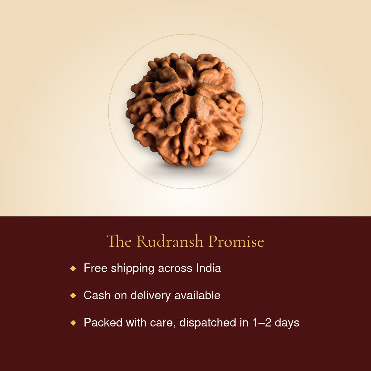 1 Mukhi Rudraksha – free shipping, cash on delivery