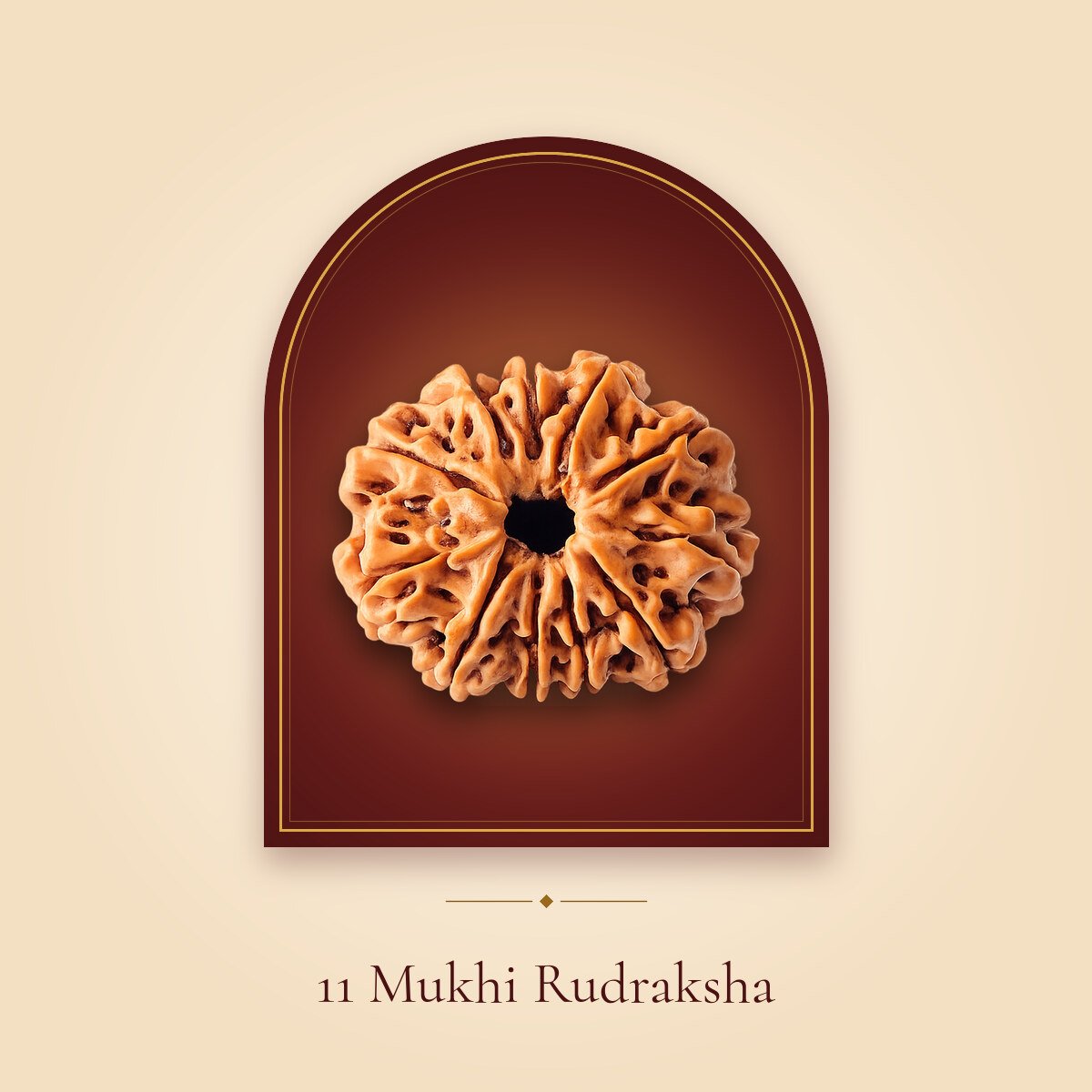 11 Mukhi Rudraksha – shown in a temple arch