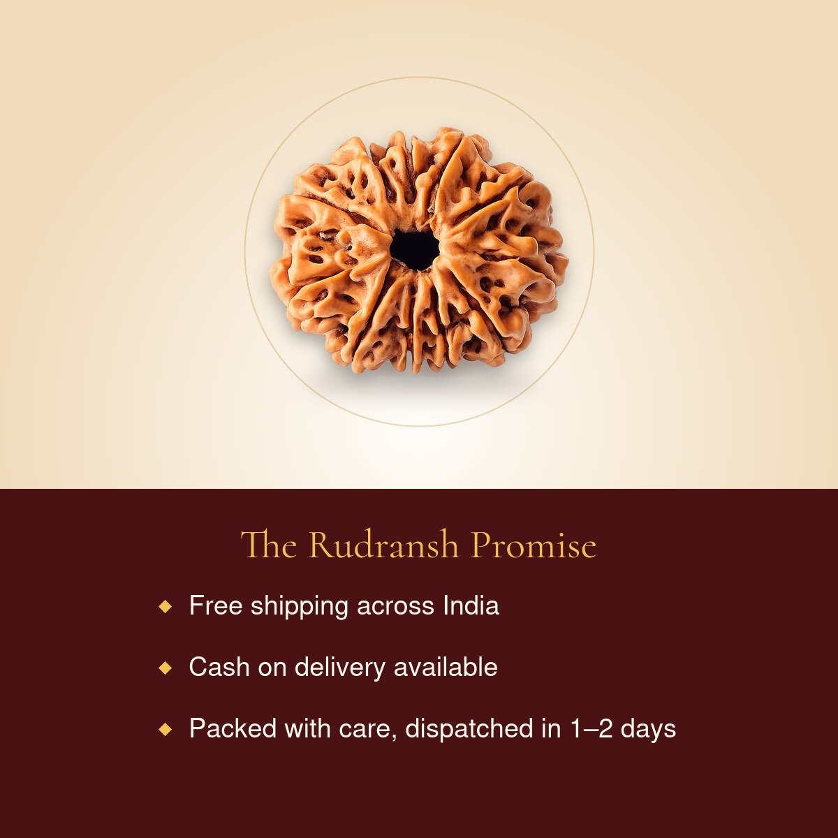 11 Mukhi Rudraksha – free shipping, cash on delivery