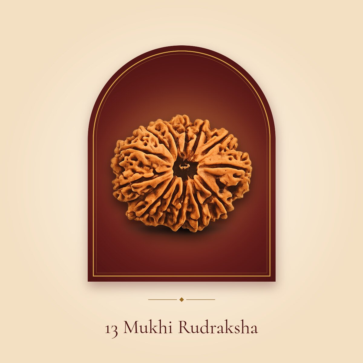 13 Mukhi Rudraksha – shown in a temple arch