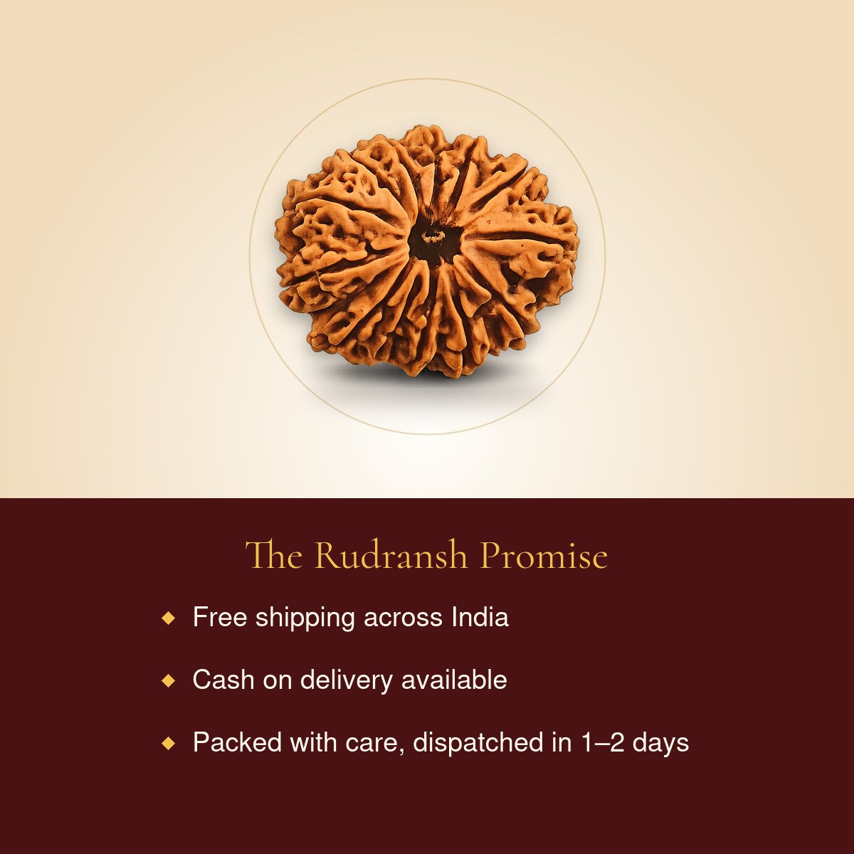13 Mukhi Rudraksha – free shipping, cash on delivery
