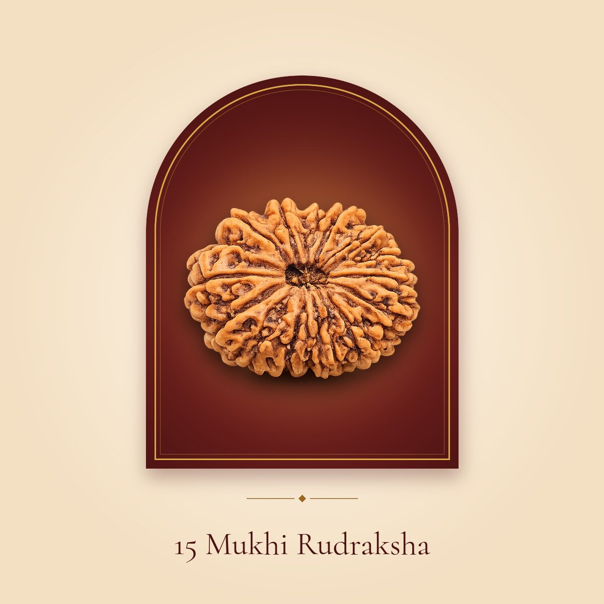 15 Mukhi Rudraksha – shown in a temple arch