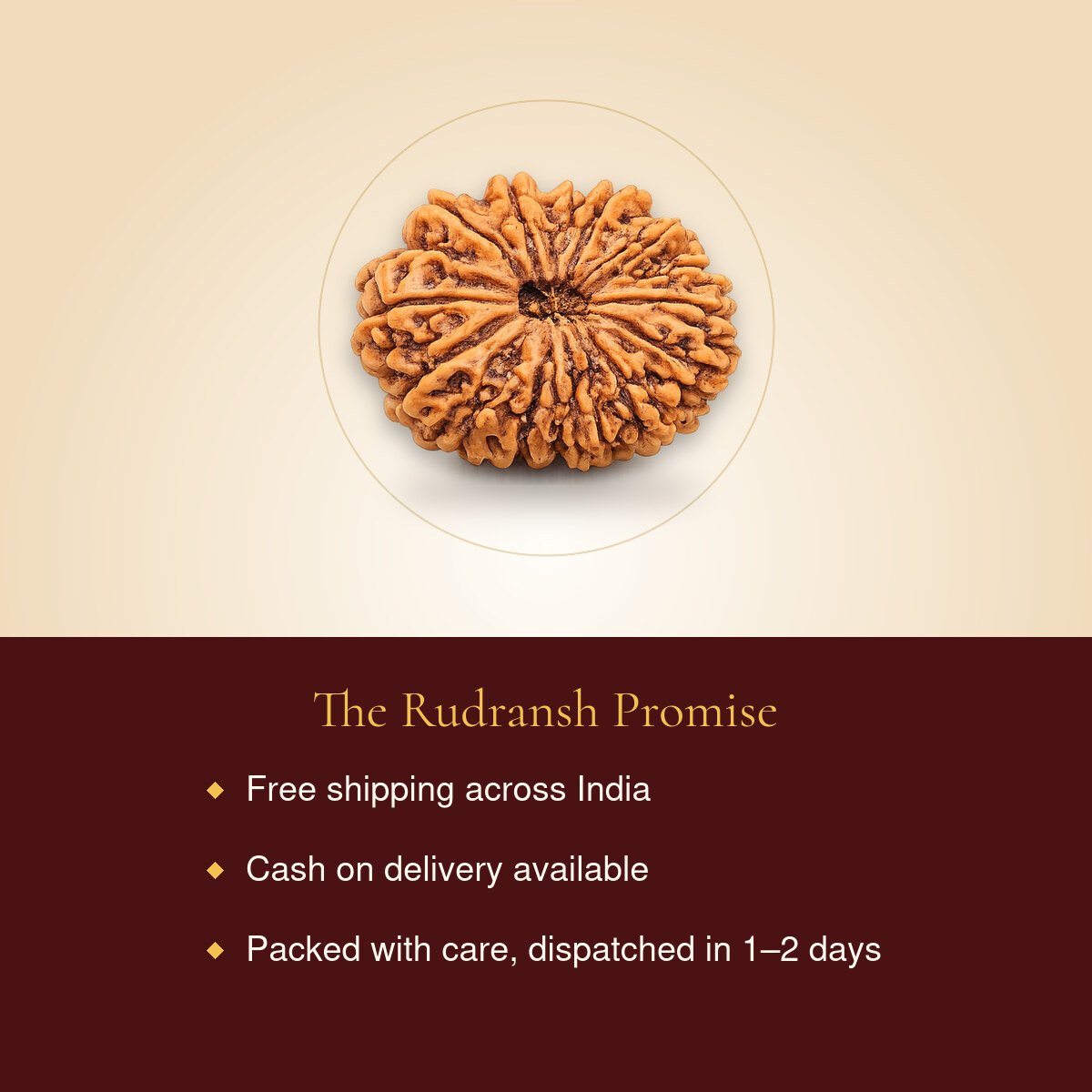 15 Mukhi Rudraksha – free shipping, cash on delivery
