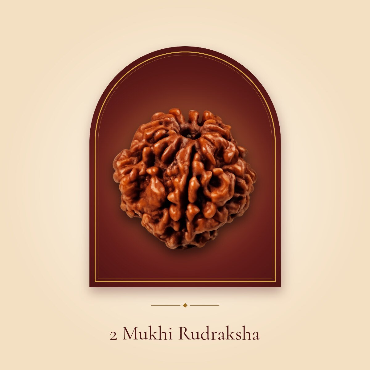 2 Mukhi Rudraksha – shown in a temple arch