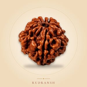 2 Mukhi Rudraksha