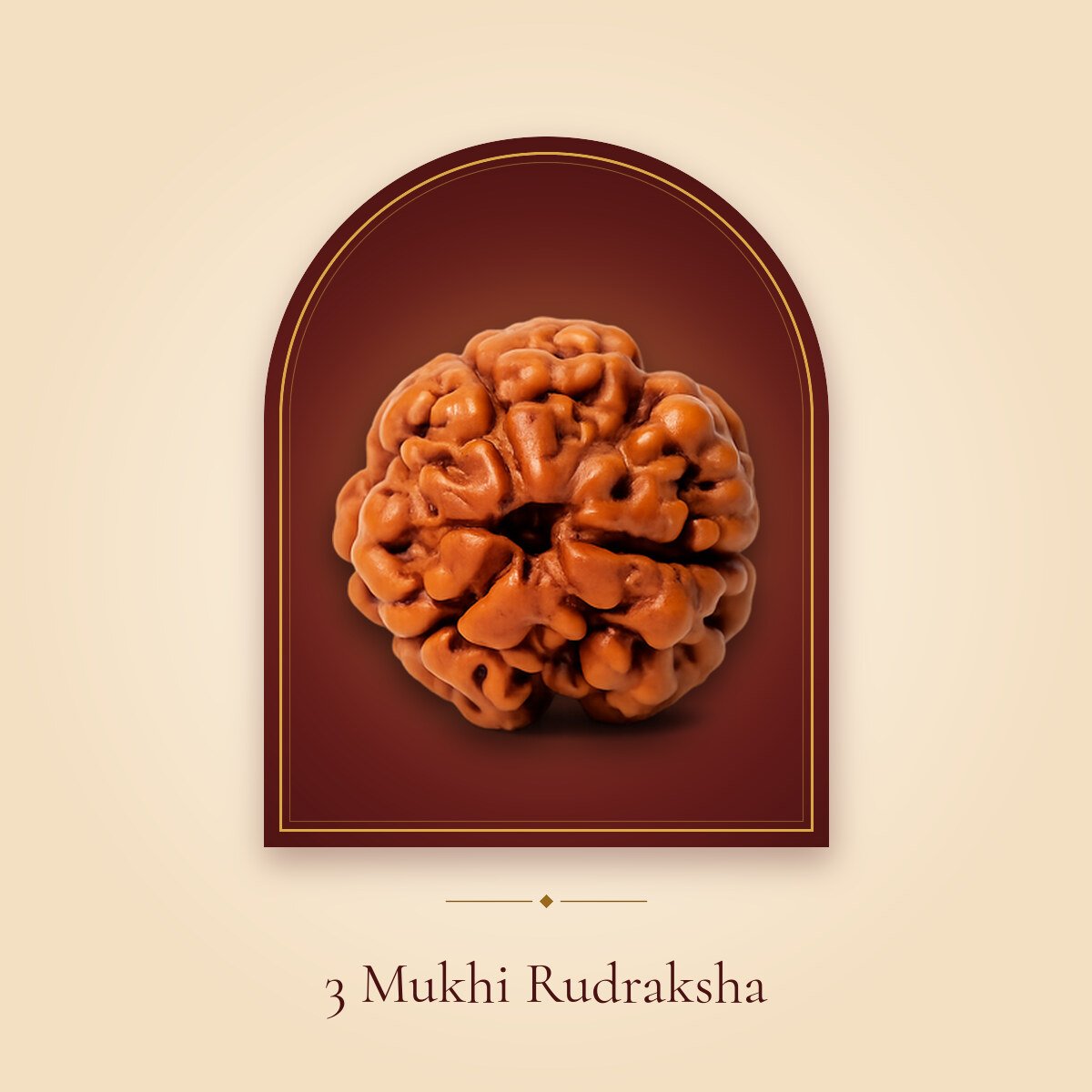 3 Mukhi Rudraksha – shown in a temple arch