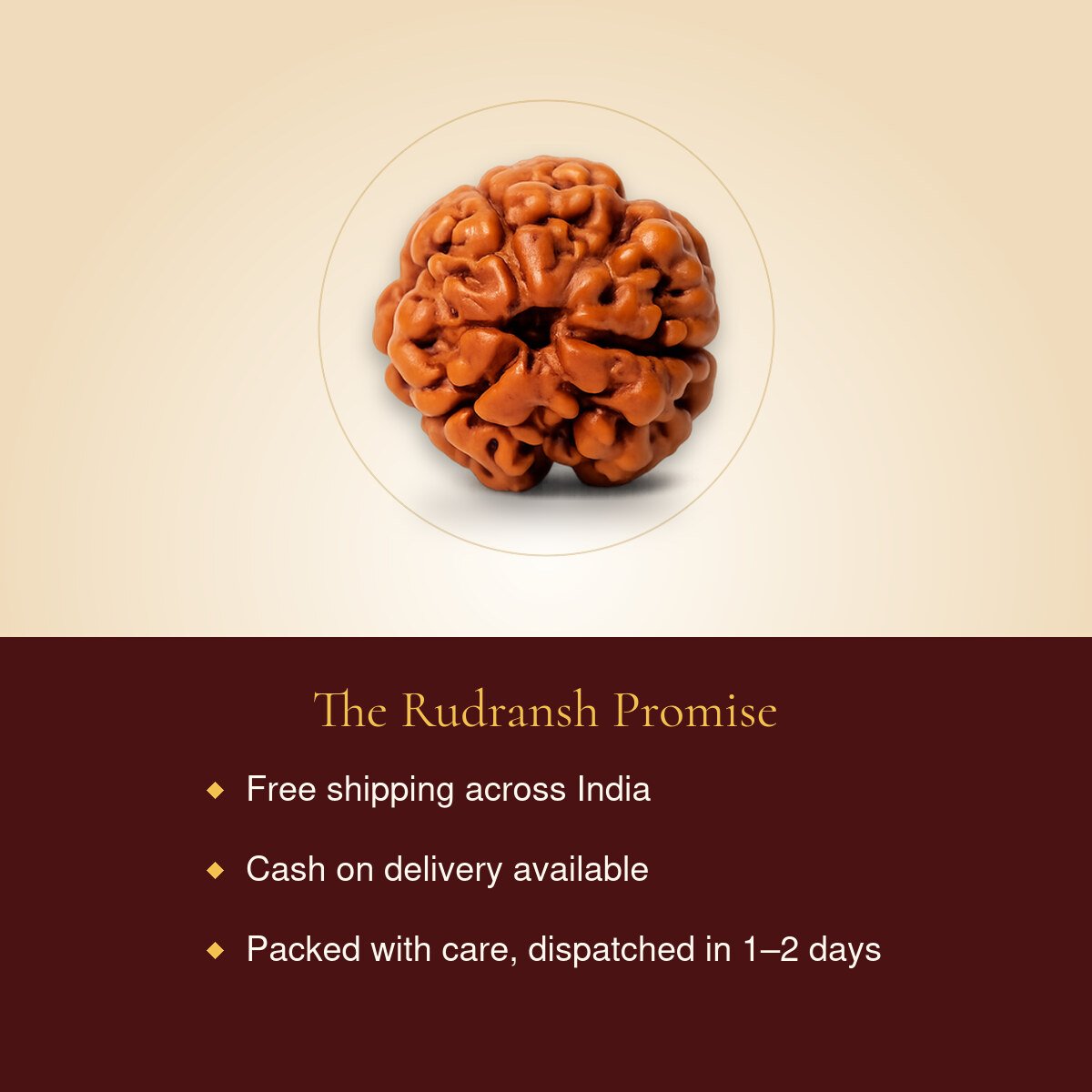 3 Mukhi Rudraksha – free shipping, cash on delivery