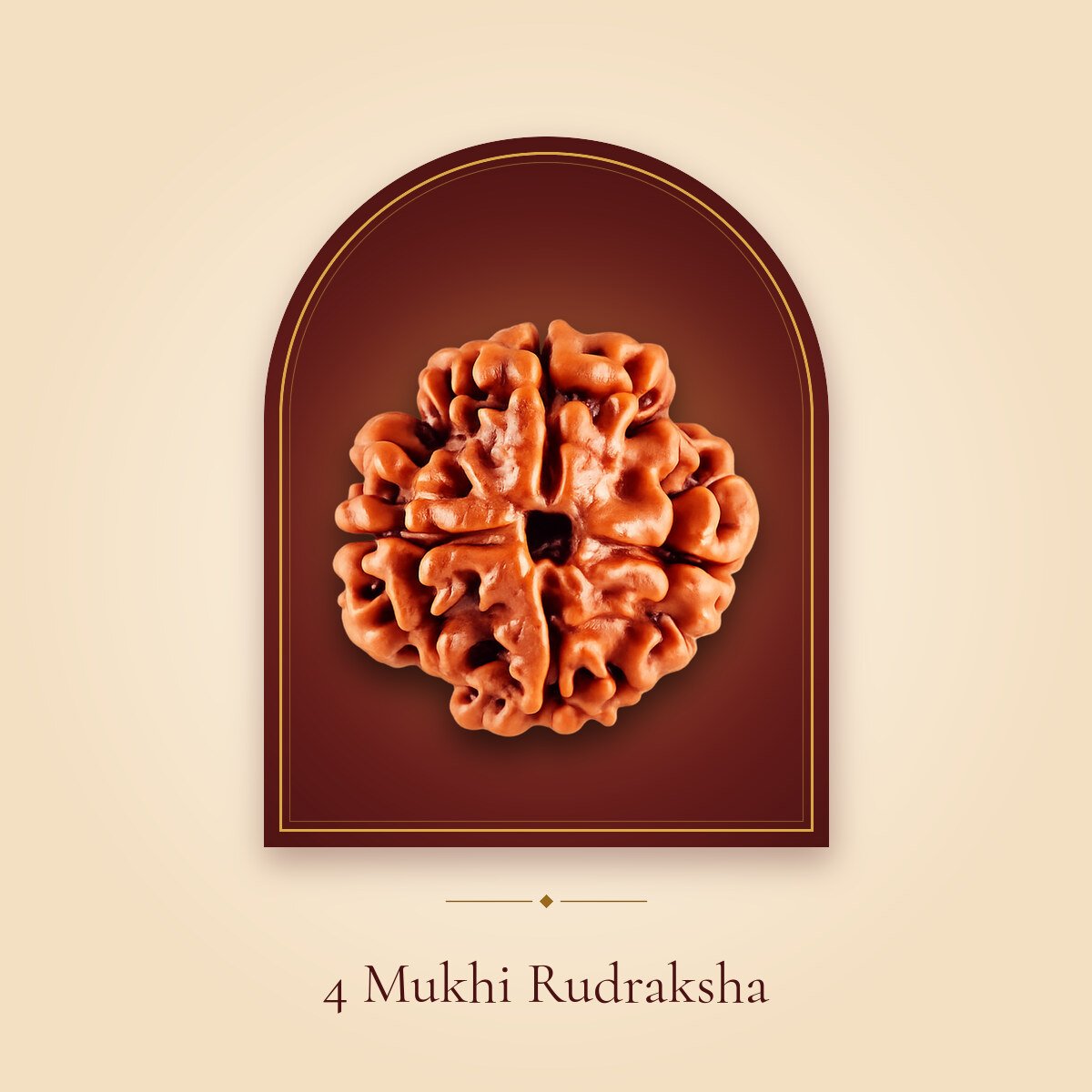 4 Mukhi Rudraksha – shown in a temple arch