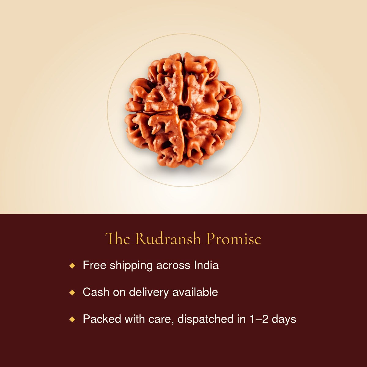 4 Mukhi Rudraksha – free shipping, cash on delivery