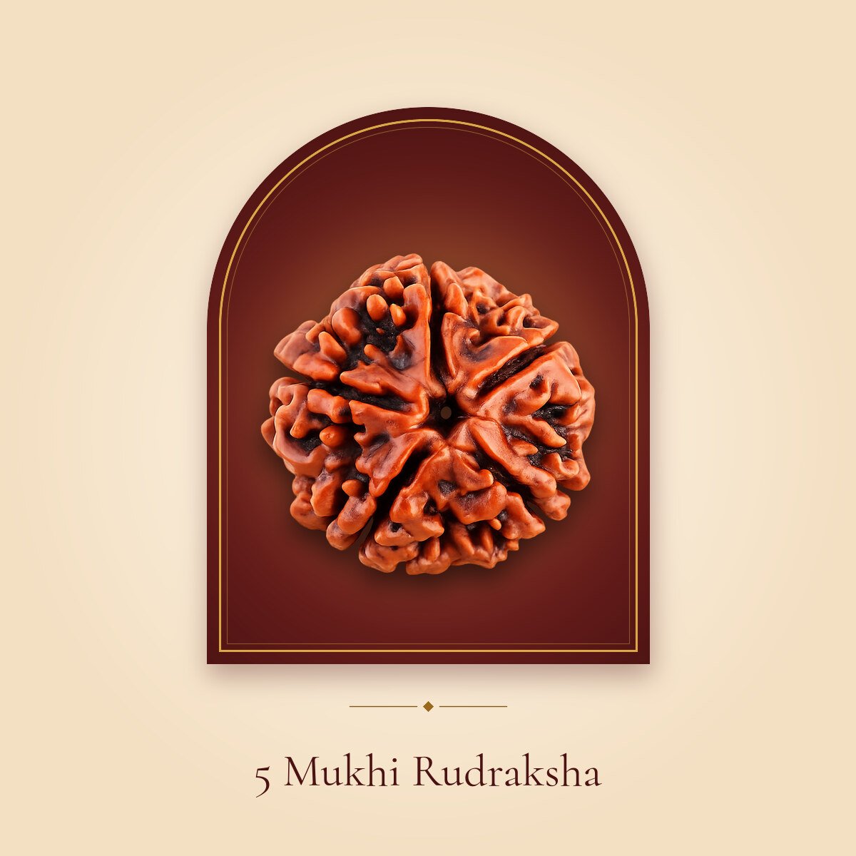 5 Mukhi Rudraksha – shown in a temple arch