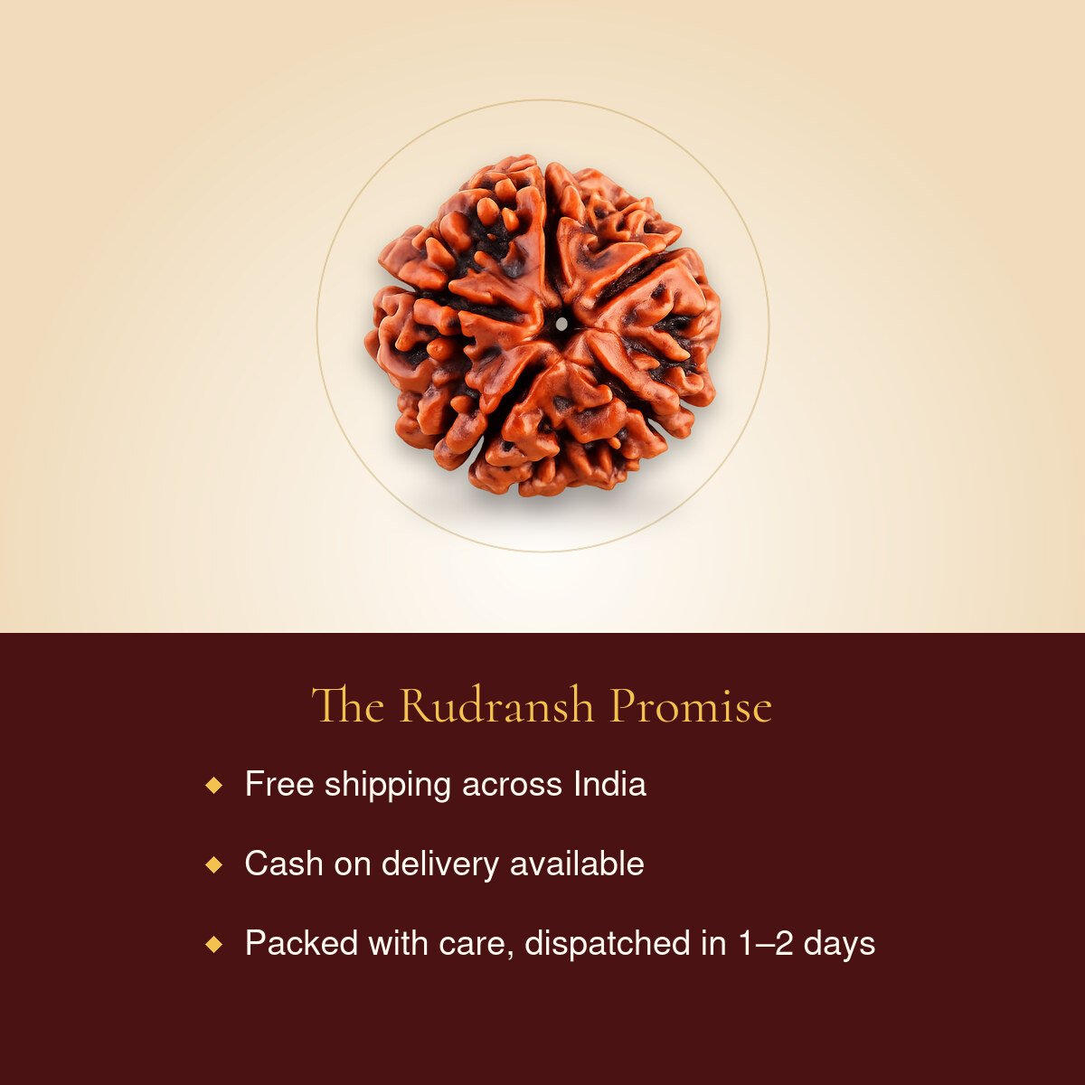 5 Mukhi Rudraksha – free shipping, cash on delivery