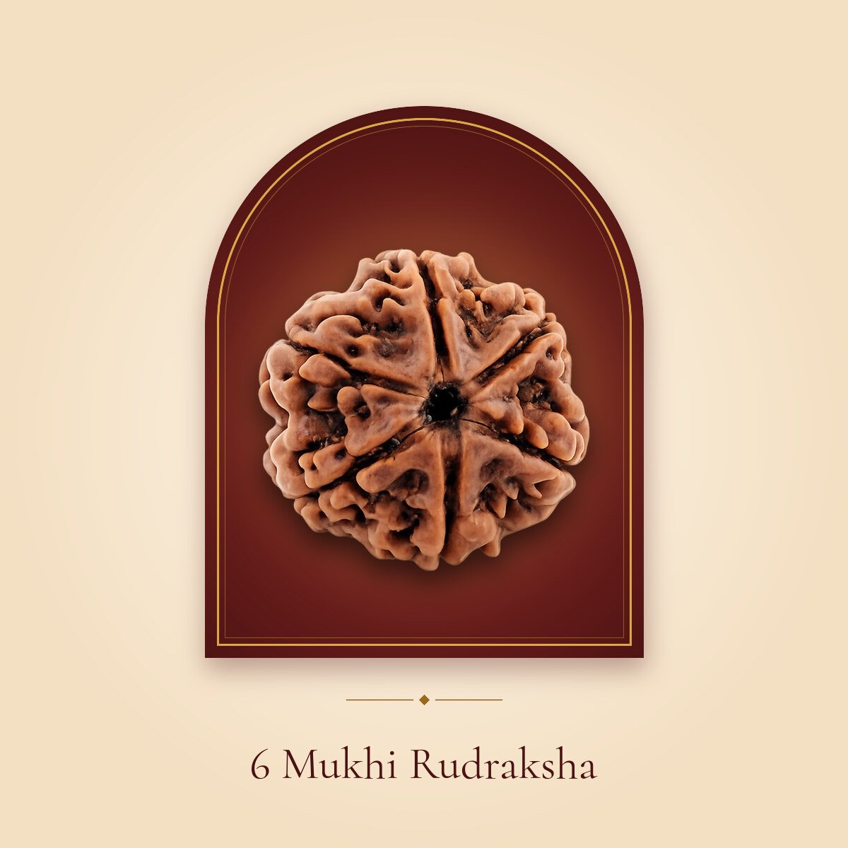 6 Mukhi Rudraksha – shown in a temple arch