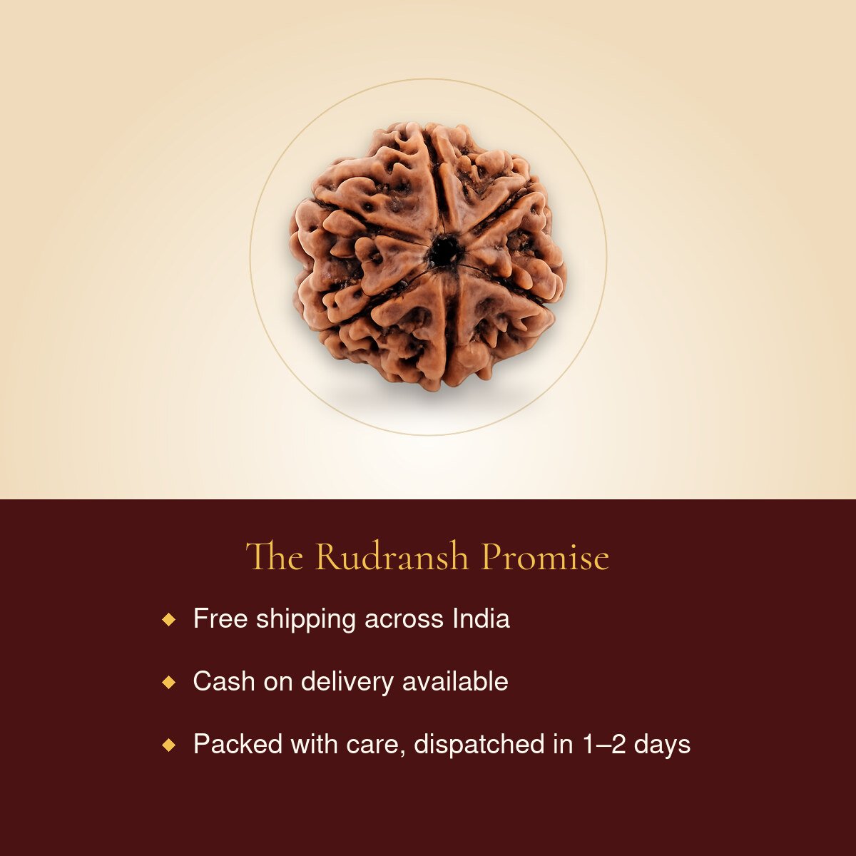 6 Mukhi Rudraksha – free shipping, cash on delivery