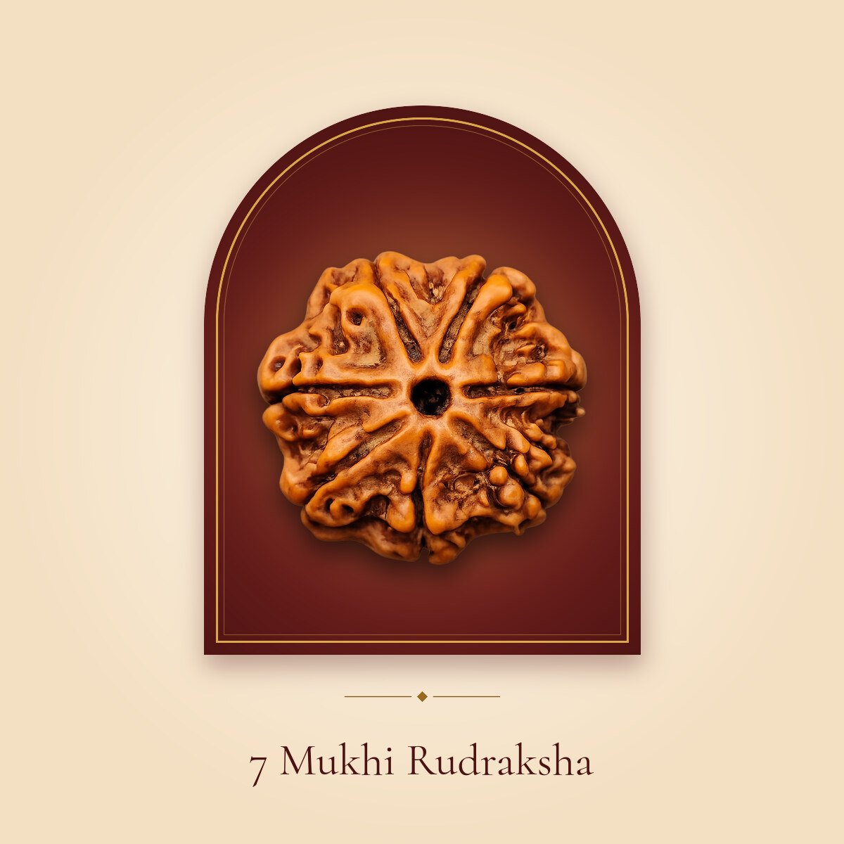 7 Mukhi Rudraksha – shown in a temple arch
