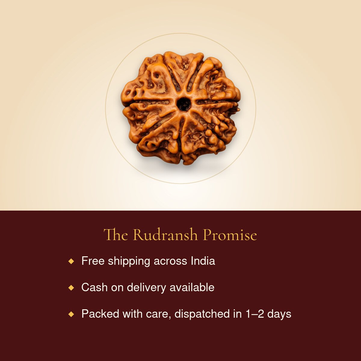 7 Mukhi Rudraksha – free shipping, cash on delivery