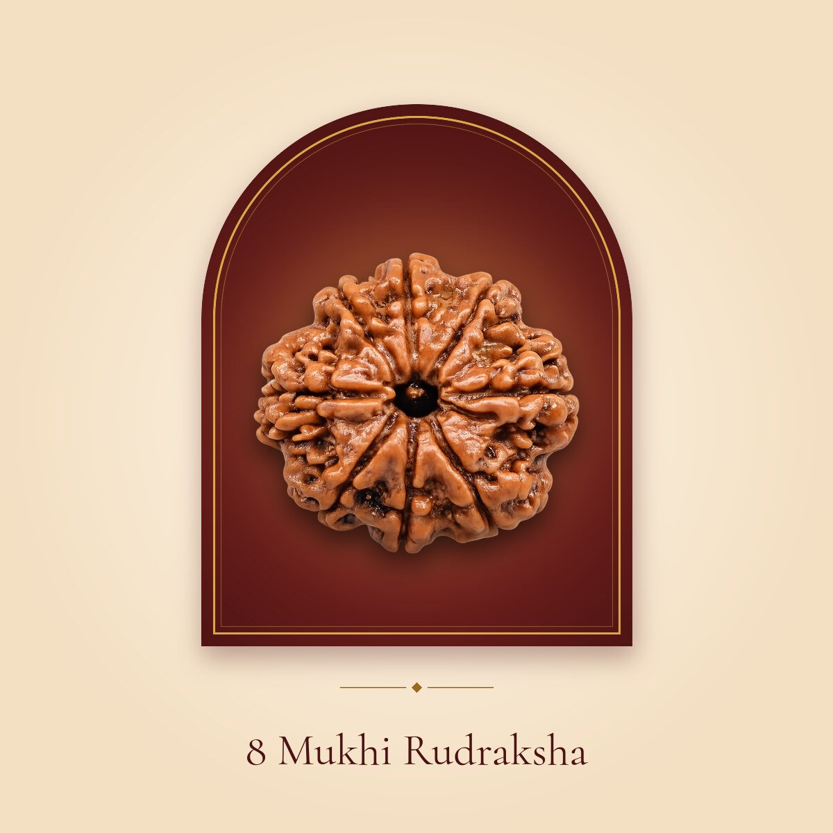 8 Mukhi Rudraksha – shown in a temple arch