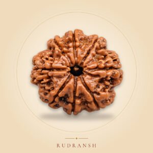 8 Mukhi Rudraksha