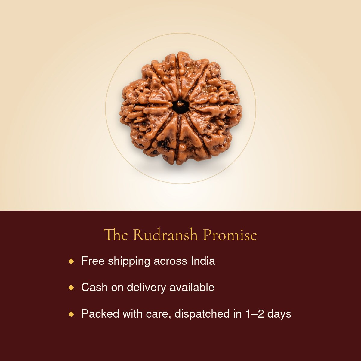 8 Mukhi Rudraksha – free shipping, cash on delivery