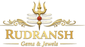 Rudransh Gems & Jewels logo