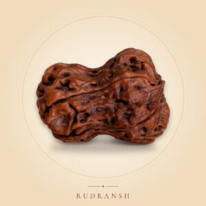 Damru Rudraksh