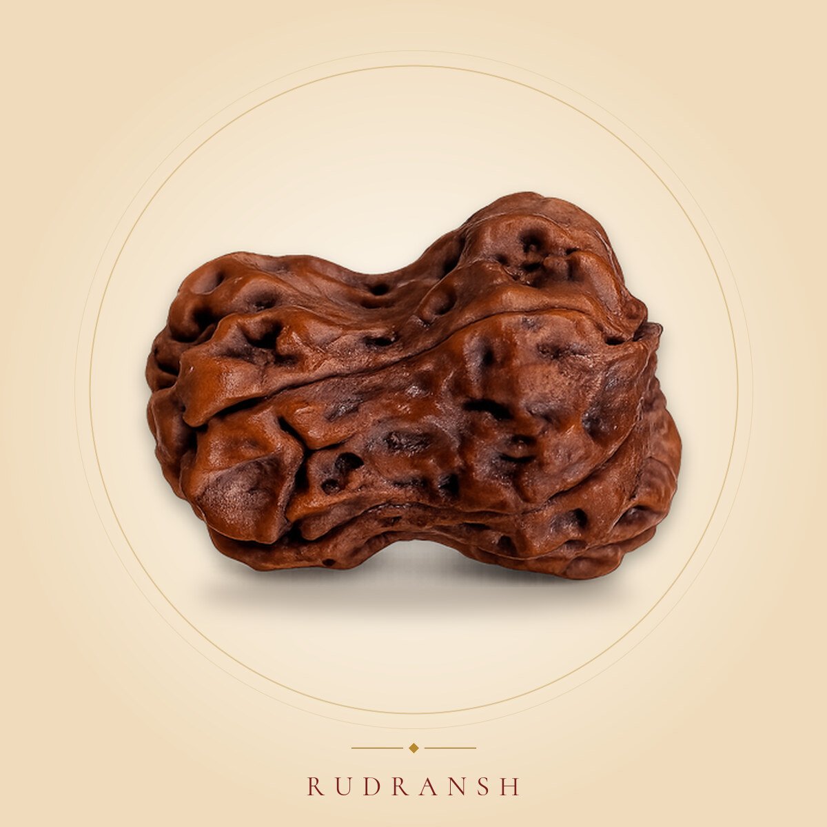 Damru Rudraksh