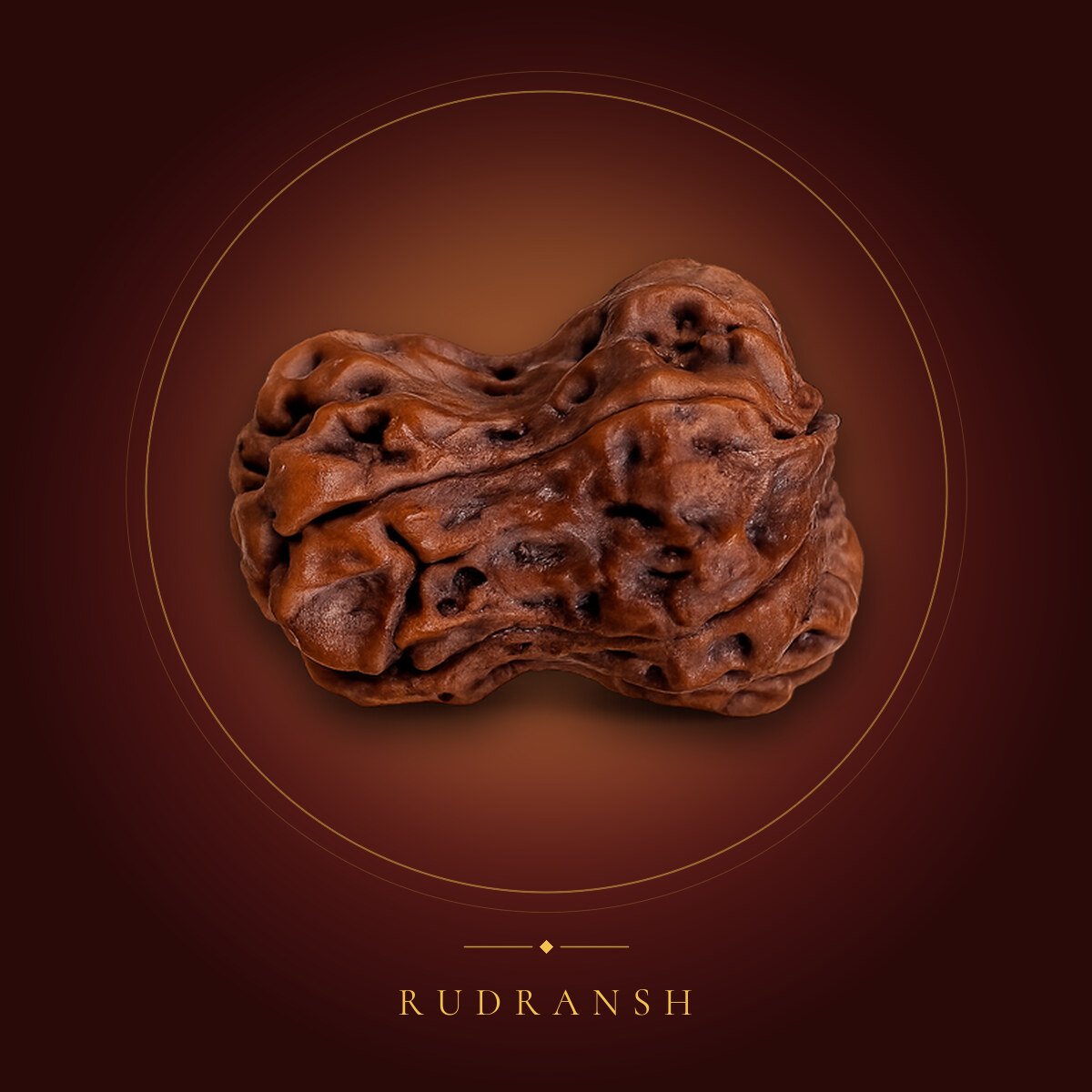Damru Rudraksh – shown on a maroon backdrop