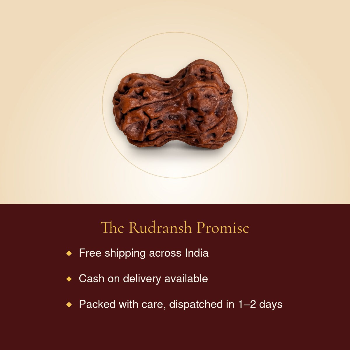Damru Rudraksh – free shipping, cash on delivery