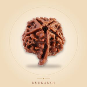 Ganesh Rudraksha
