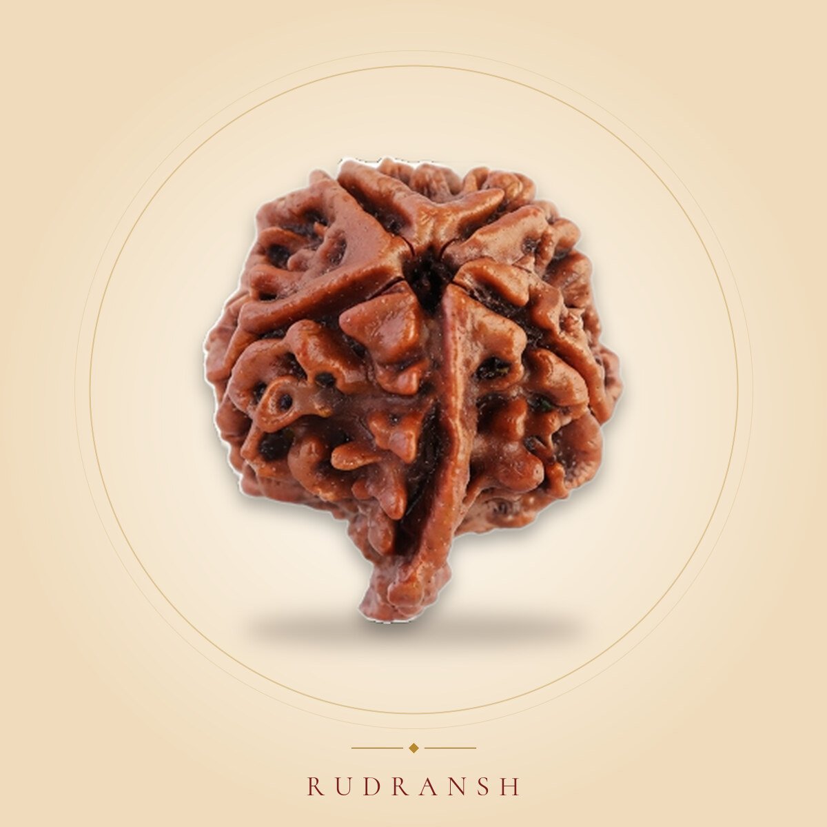 Ganesh Rudraksha