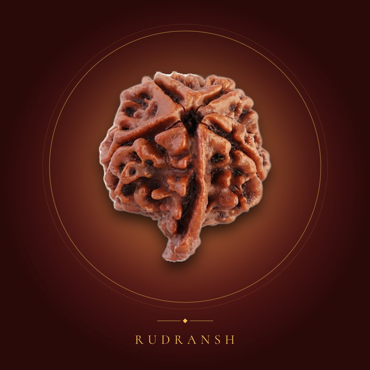 Ganesh Rudraksha – shown on a maroon backdrop