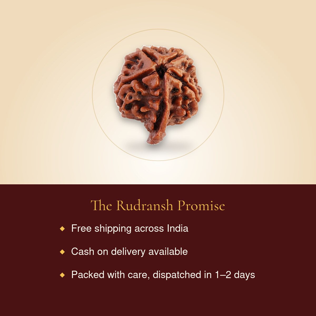 Ganesh Rudraksha – free shipping, cash on delivery