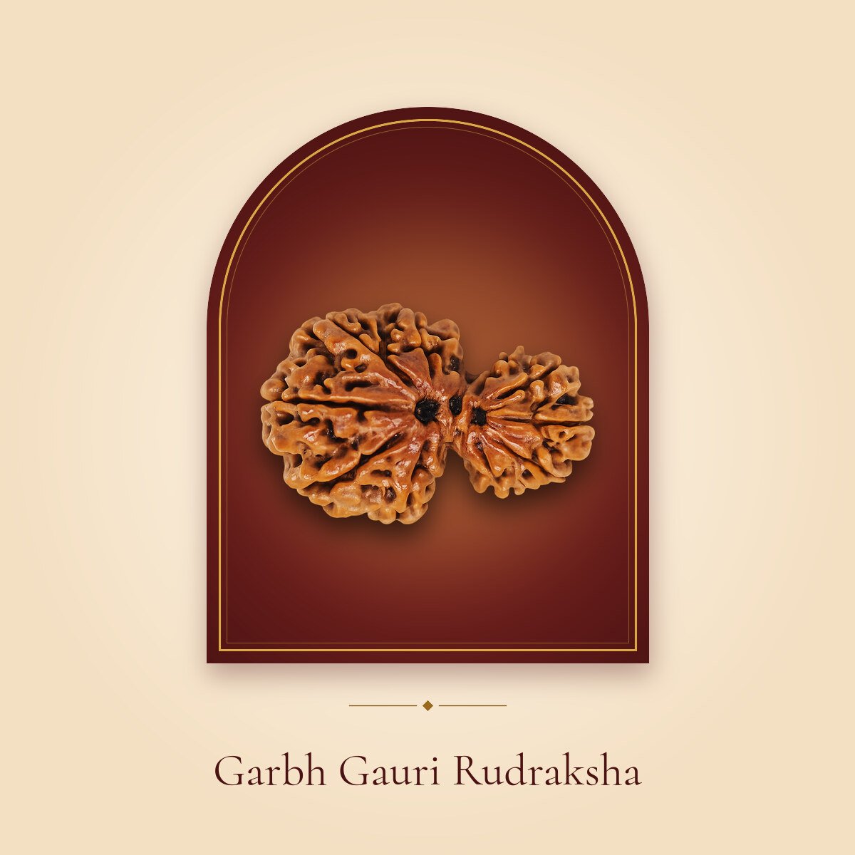 Garbh Gauri Rudraksha – shown in a temple arch