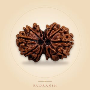 Gauri Shankar Rudraksha