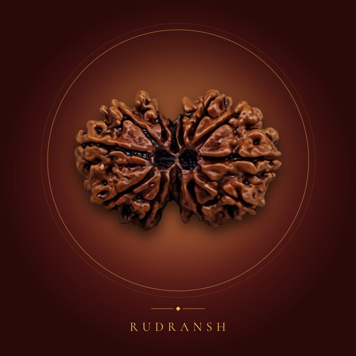 Gauri Shankar Rudraksha – shown on a maroon backdrop