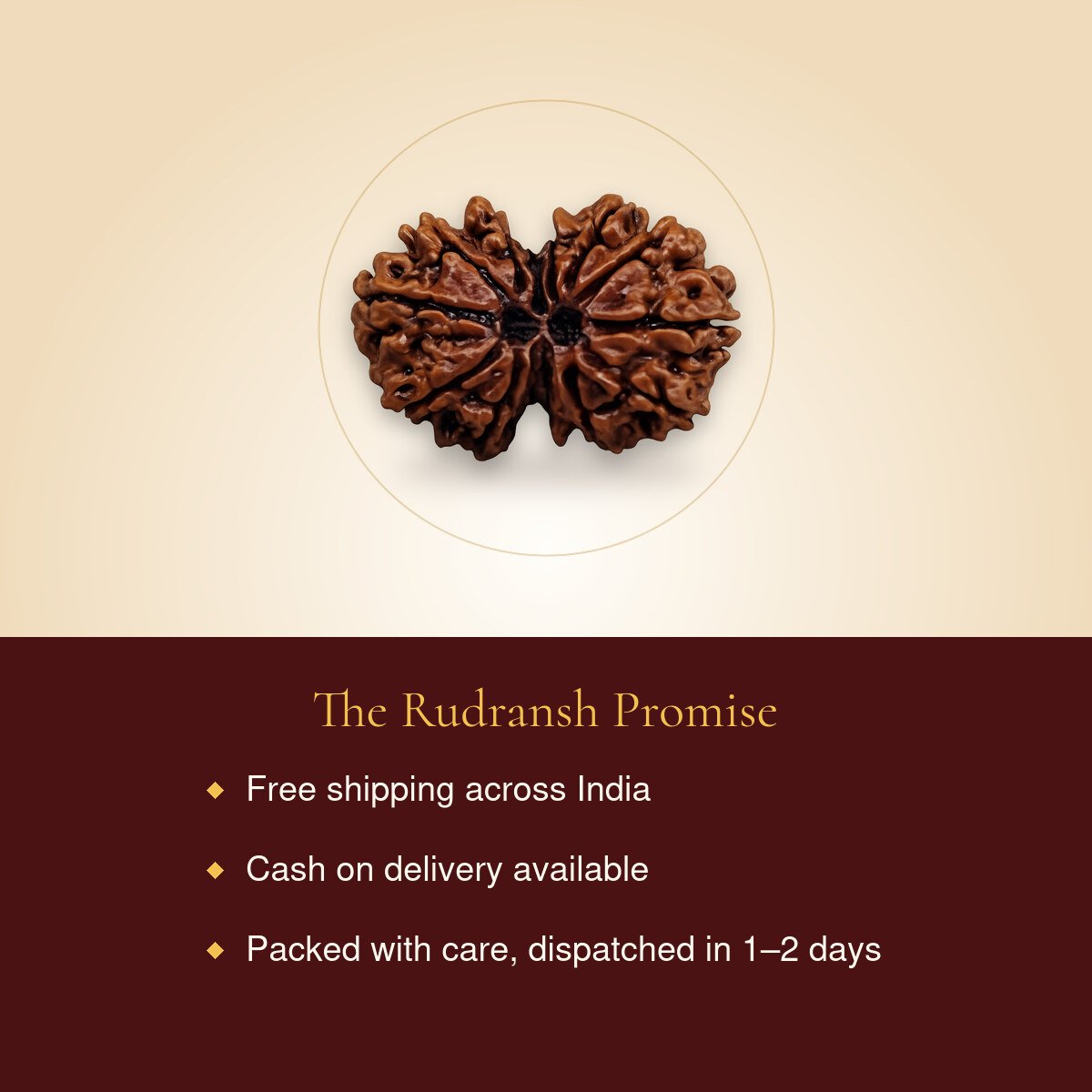 Gauri Shankar Rudraksha – free shipping, cash on delivery